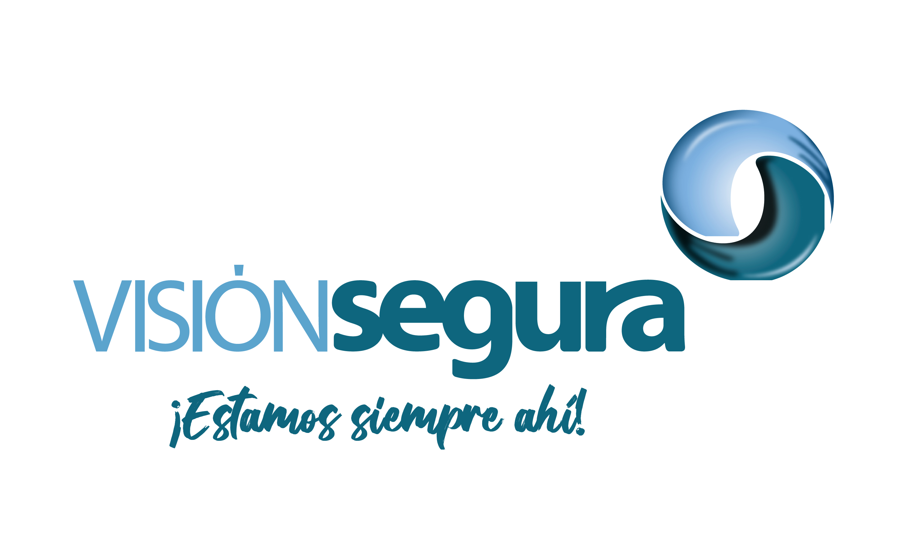 VISIÓN SEGURA Y CIA LTDA