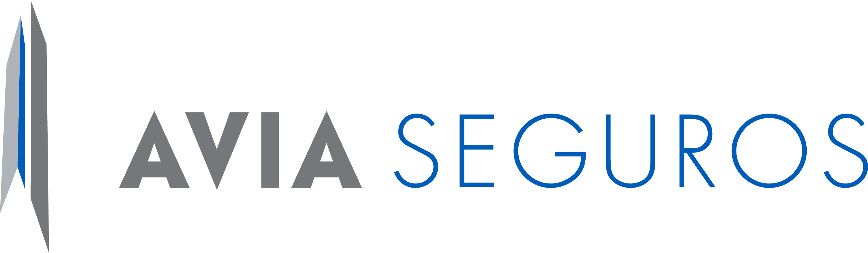 AVIA CORREDORES DE SEGUROS S.A.